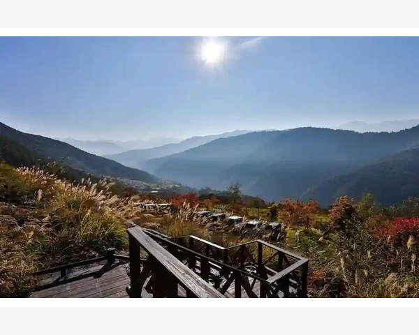 脸颊长痘怎么调理？中医科普告诉你最有效的方法