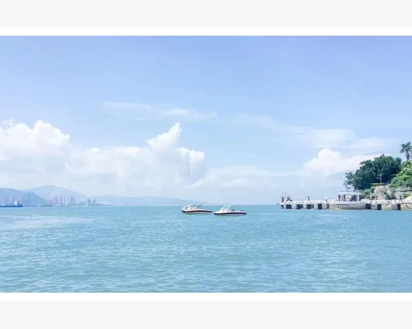 冰糖萝卜水：缓解痰多效果良好的中药方