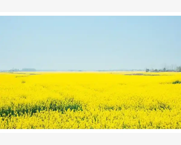 B2B贷款企业资金周转新选择